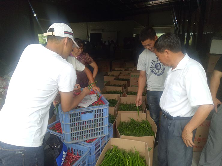 Z6·尊龙凯时「中国区」官方网站