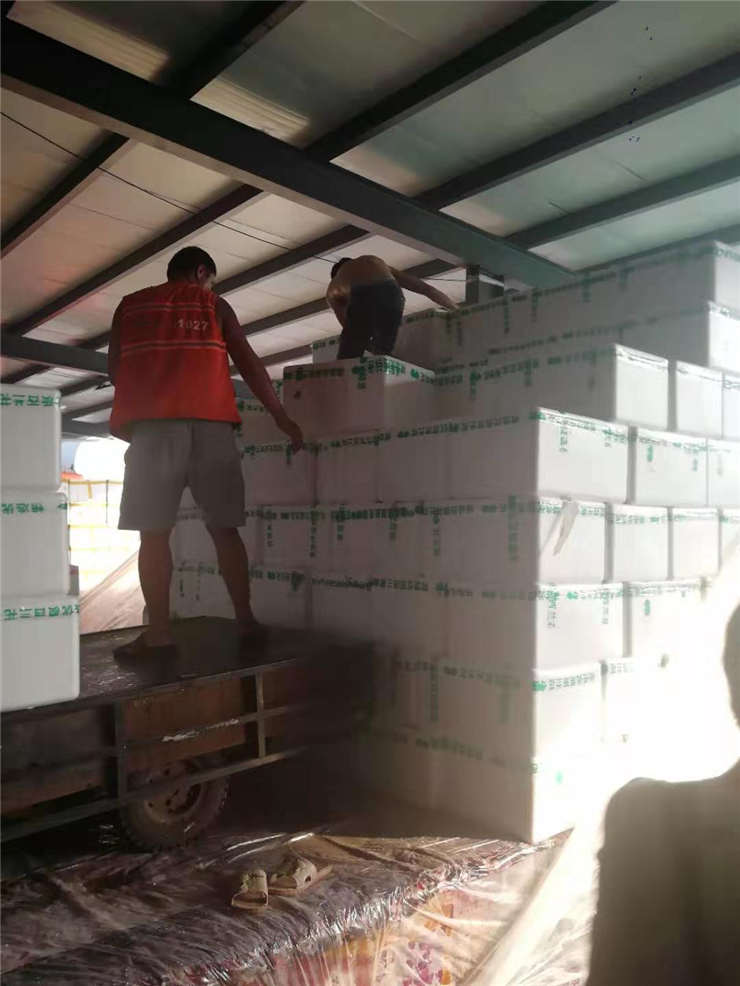 Z6·尊龙凯时「中国区」官方网站