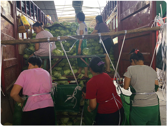 Z6·尊龙凯时「中国区」官方网站