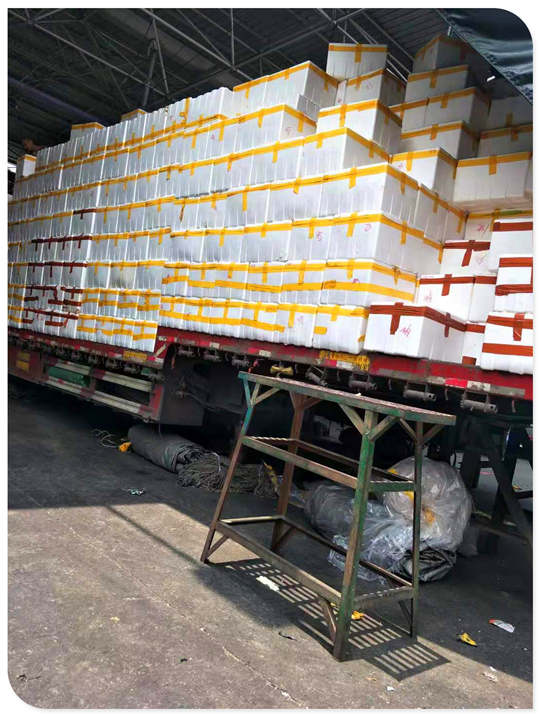 Z6·尊龙凯时「中国区」官方网站