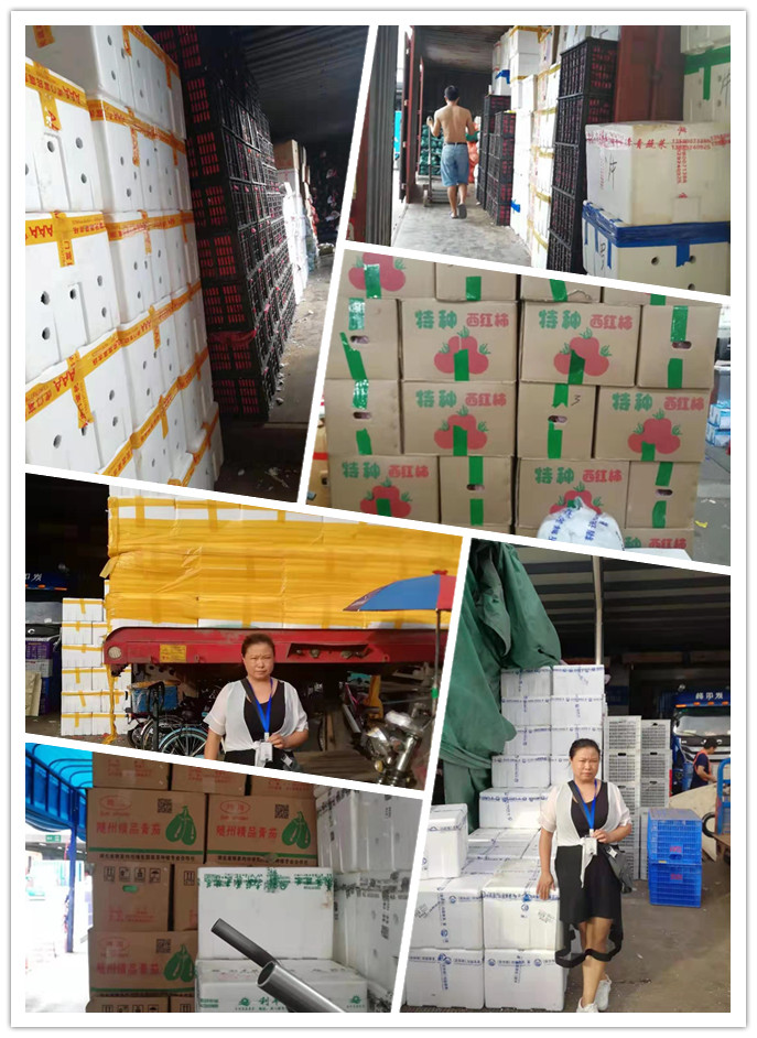 Z6·尊龙凯时「中国区」官方网站