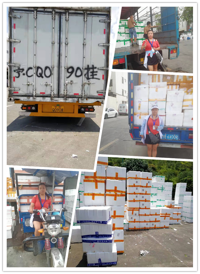 Z6·尊龙凯时「中国区」官方网站