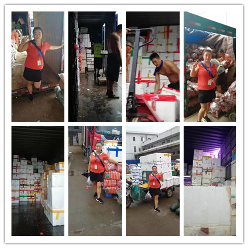 Z6·尊龙凯时「中国区」官方网站