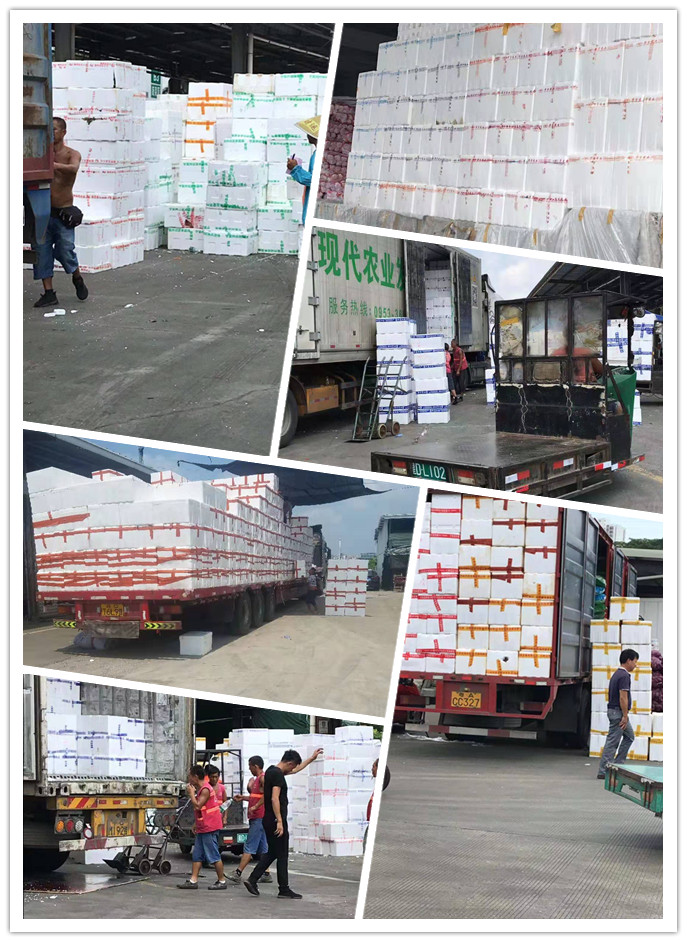 Z6·尊龙凯时「中国区」官方网站