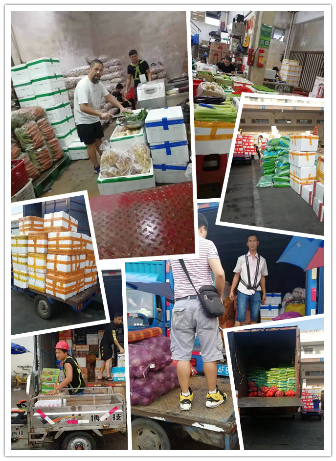 Z6·尊龙凯时「中国区」官方网站