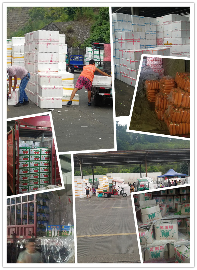 Z6·尊龙凯时「中国区」官方网站