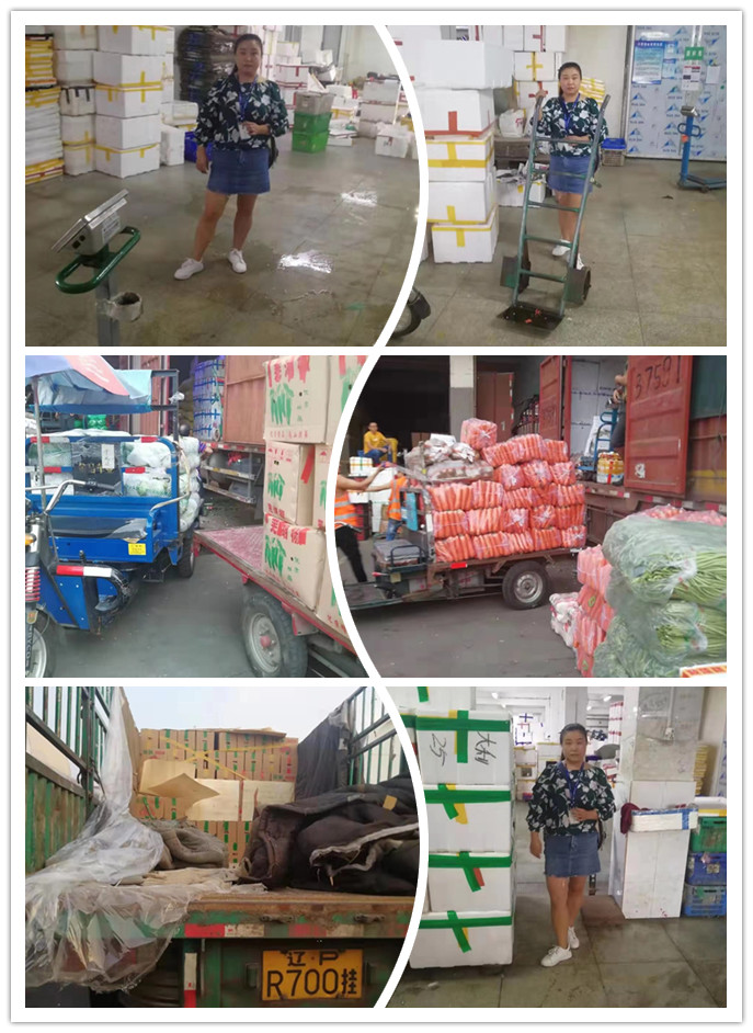 Z6·尊龙凯时「中国区」官方网站