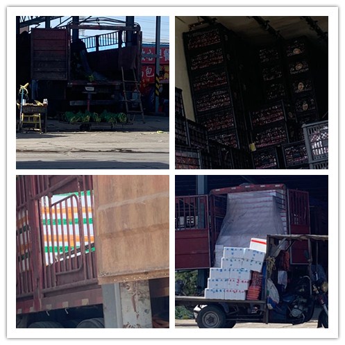 Z6·尊龙凯时「中国区」官方网站