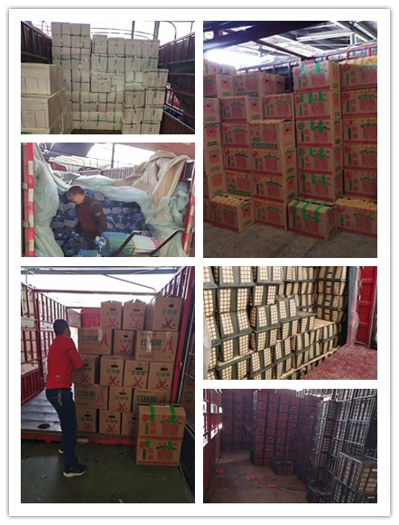 Z6·尊龙凯时「中国区」官方网站