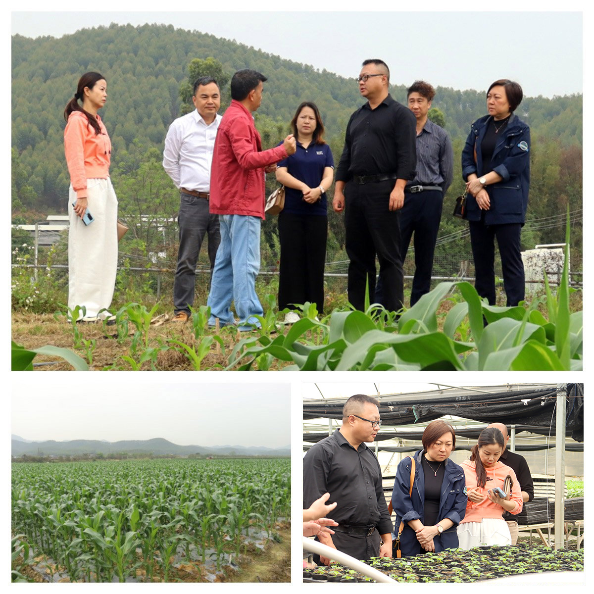 Z6·尊龙凯时「中国区」官方网站