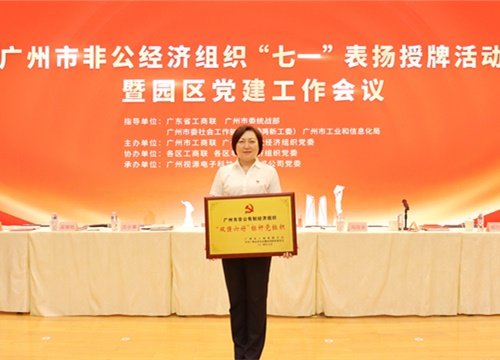 标杆引领，荣誉升级！集团党支部荣膺广州市非公有造经济组织“双强六好”标